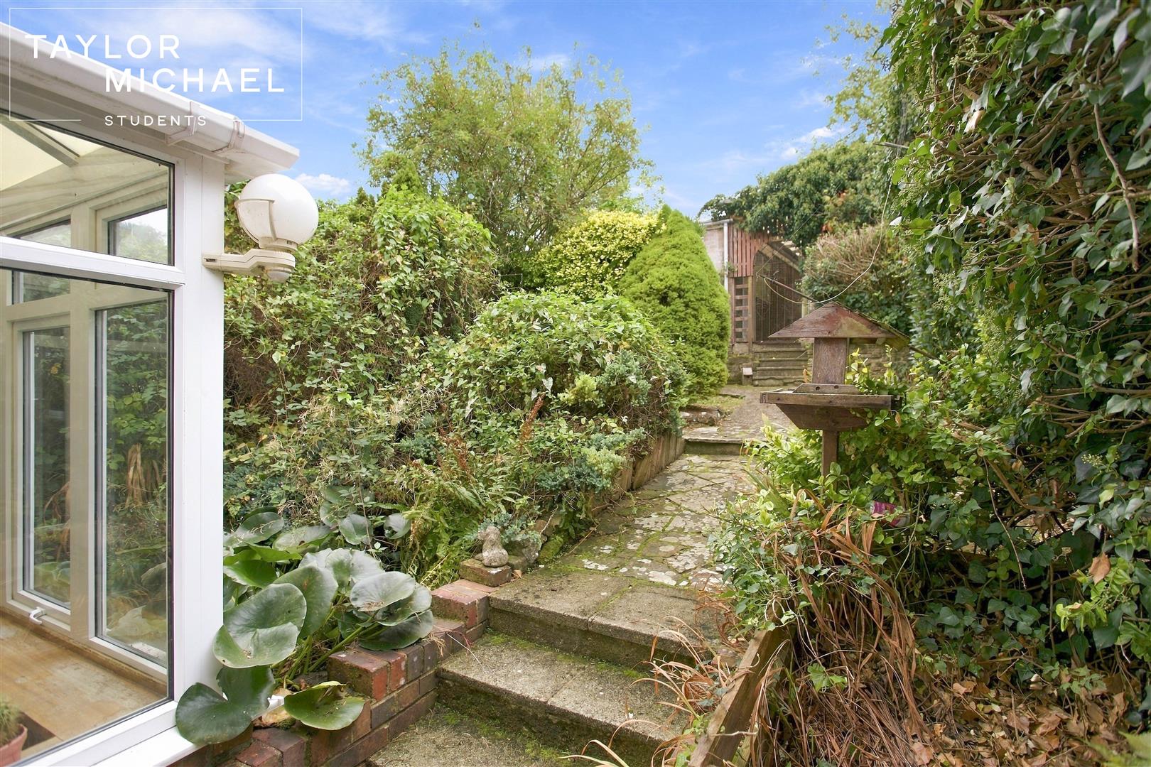 Back Garden